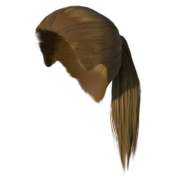 dariush086_ponytail01_gold.png