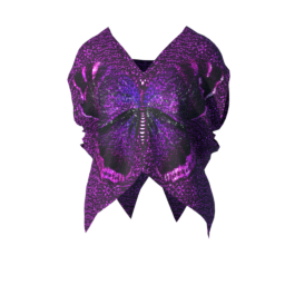 elvs_disco_top_1_butterfly.png