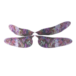 elvs_static_wings1_dragonfly.png