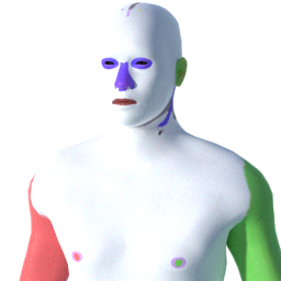 joepal_annotated_skin.png