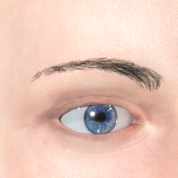 mindfront_eyebrows_01.png