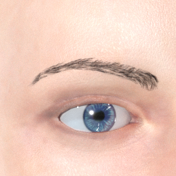 mindfront_eyebrows_02.png