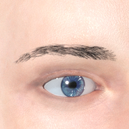 mindfront_eyebrows_03.png