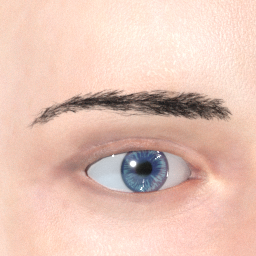 mindfront_eyebrows_04.png