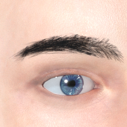 mindfront_eyebrows_06.png