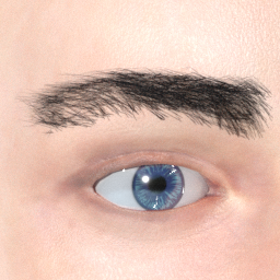 mindfront_eyebrows_07.png