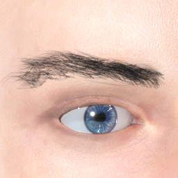 mindfront_eyebrows_08.png