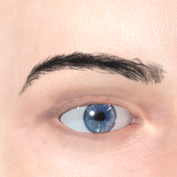mindfront_eyebrows_09.png
