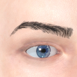 mindfront_eyebrows_10.png
