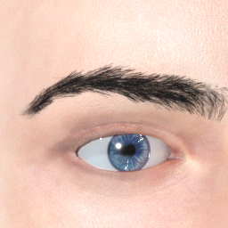 mindfront_eyebrows_11.png