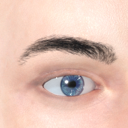 mindfront_eyebrows_12.png