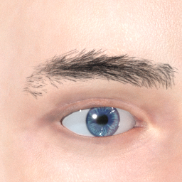 mindfront_eyebrows_13.png
