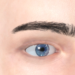 mindfront_eyebrows_14.png
