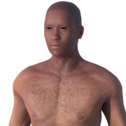 mindfront_skin_male_african_middleage.png
