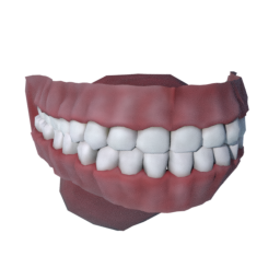 teeth_base.png