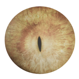 bobby_03_daz_dragon_eyes.png