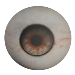 bobby_03_diffuse_amber_eyes.png
