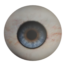 bobby_03_diffuse_blue_eyes.png