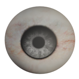 bobby_03_diffuse_grey_eyes.png