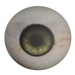 bobby_03_diffuse_hazel_eyes.png