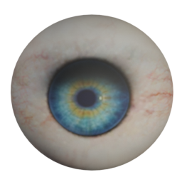 bobby_03_diffuse_sea_breeze_eyes.png