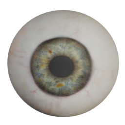 callharvey3d_harvey_eye1.png