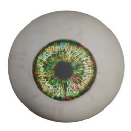 elvs_catyellow_rainbow_eye.png