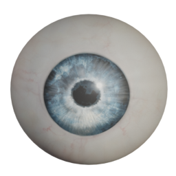 elvs_earth_moon_eyes.png