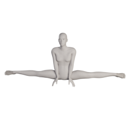 elvs_gymnastic_pose_1.png