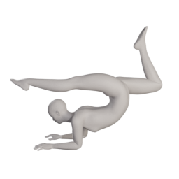 elvs_gymnastic_pose_2.png