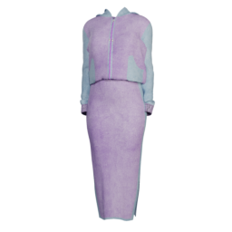elvs_sporty_tracksuit_hoodie_dress1.png
