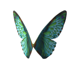 elvs_static_wings3_butterfly1.png