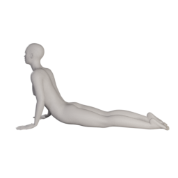 elvs_yoga_cobra_pose_1.png