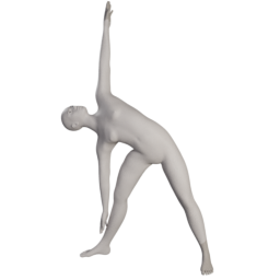 elvs_yoga_triangle_pose_1.png