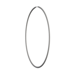 ews_hoop_earrings.png