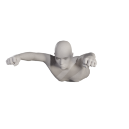 fly02.png