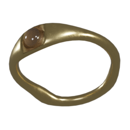 joachip_ring_1.png