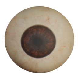 mindfront_brown_eye_02.png