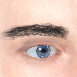 mindfront_eyebrows_05.png