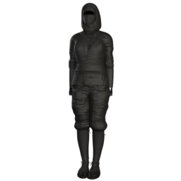mindfront_f_ninja.png