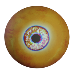sonntag78_orcifyhead_eye.png