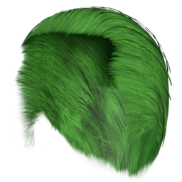 toigo_short_04_green.png