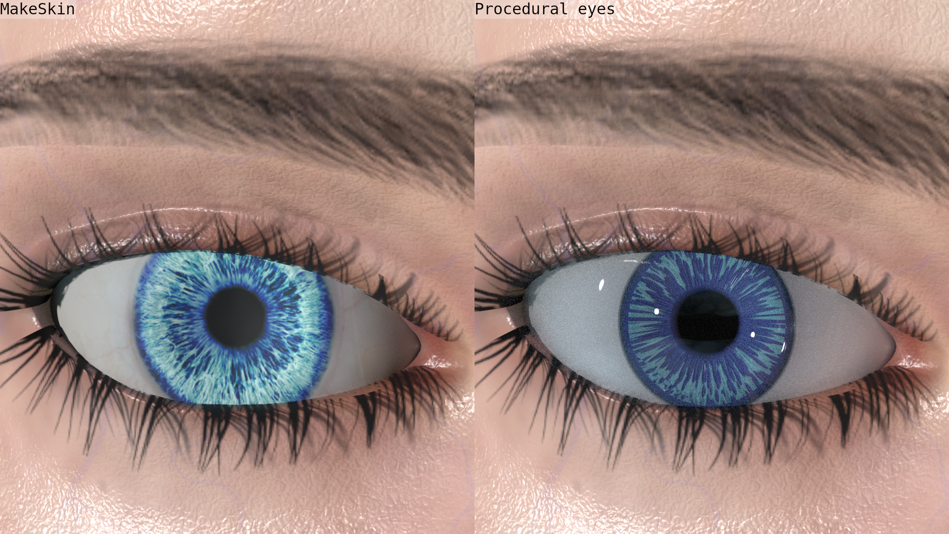 eye model comparison